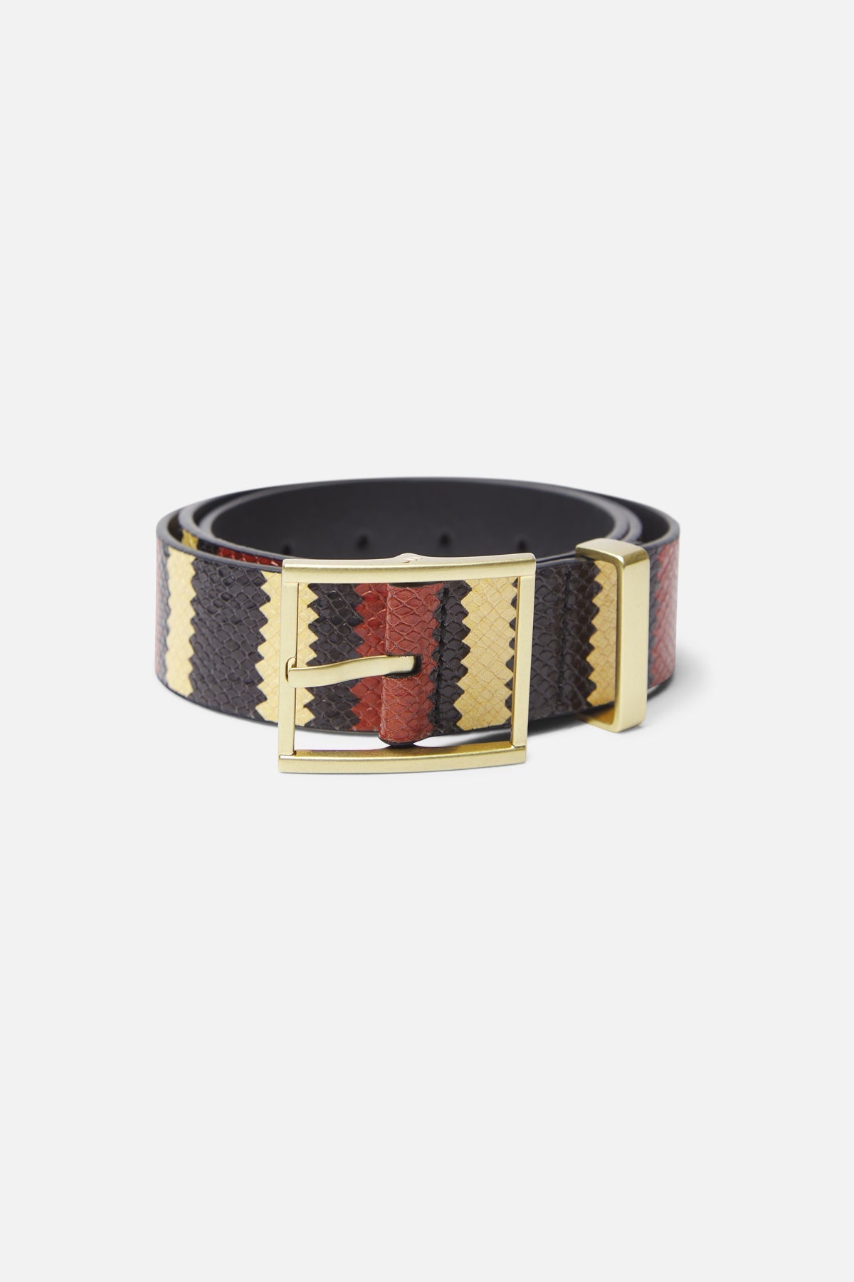 King Snake Red Belt