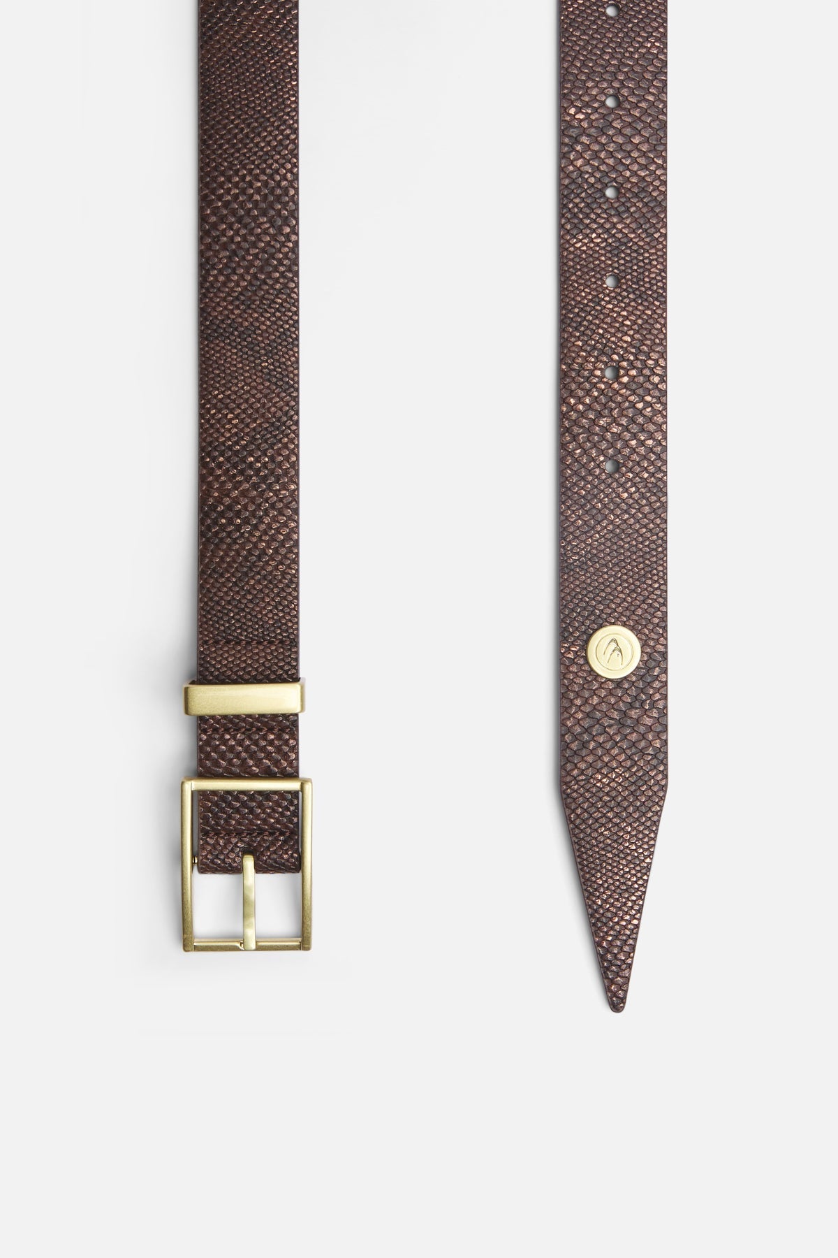 King Snake Brown Belt