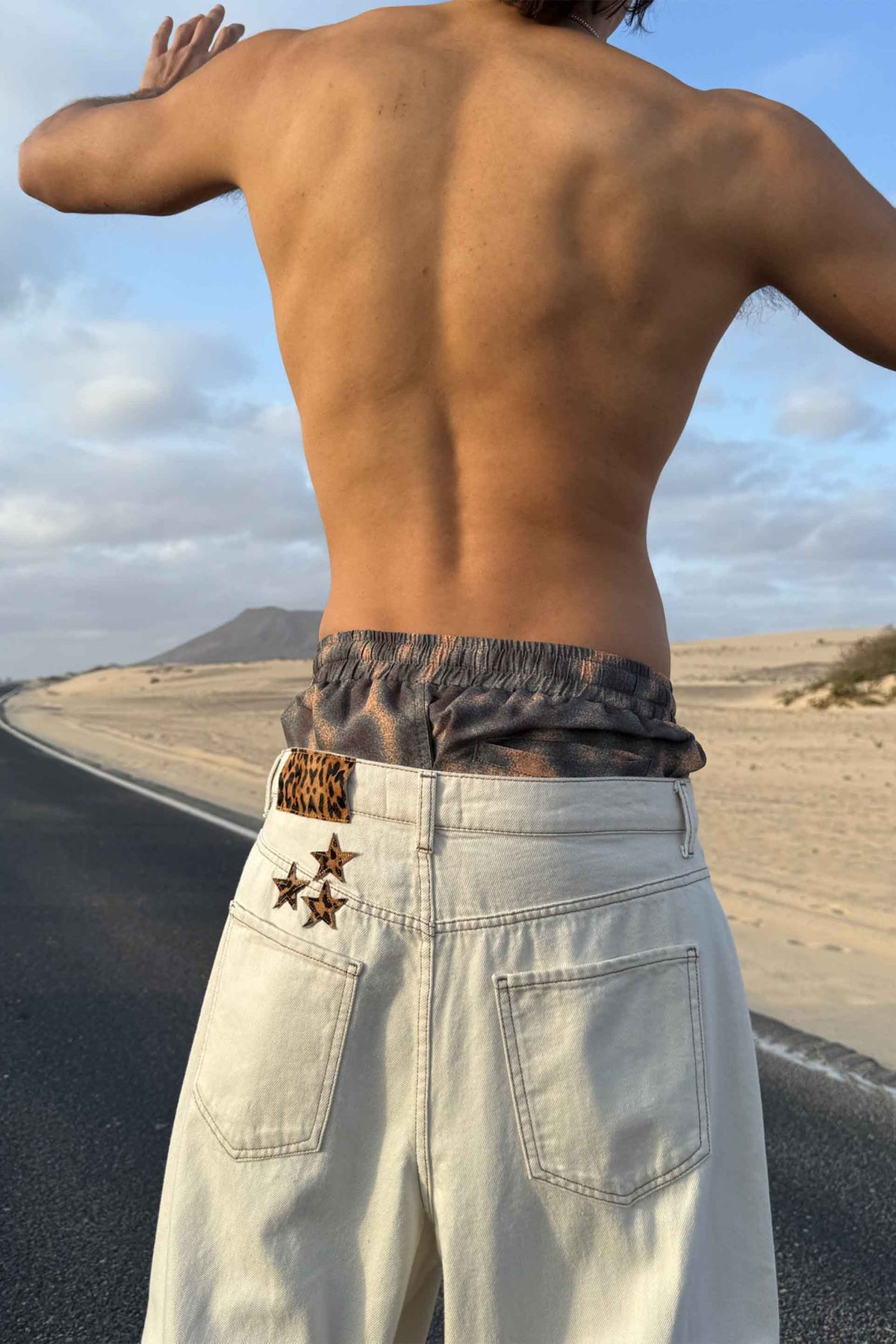 Cheetah Brown Swimpants
