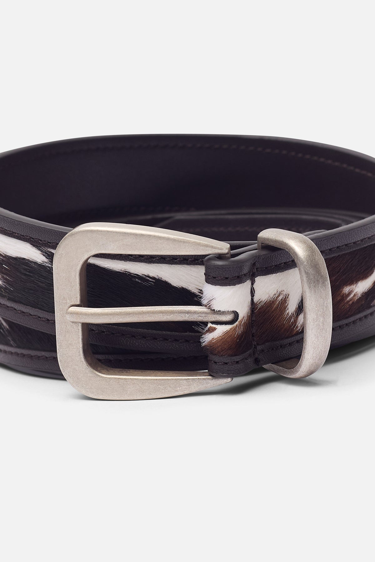 Sabana Cow Belt